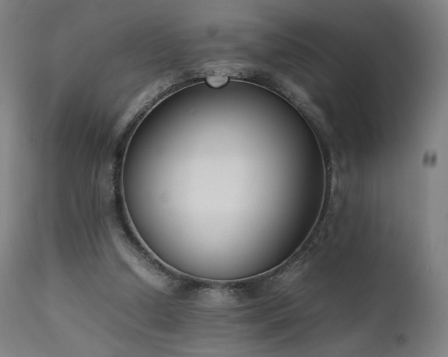 X0000111650250200907171552