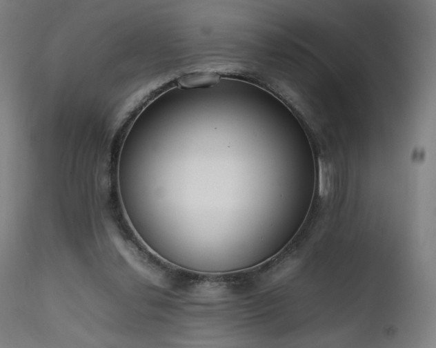 X0000111650252200907171552