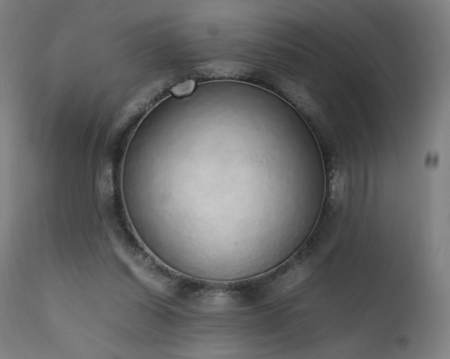 X0000111650254200907171552