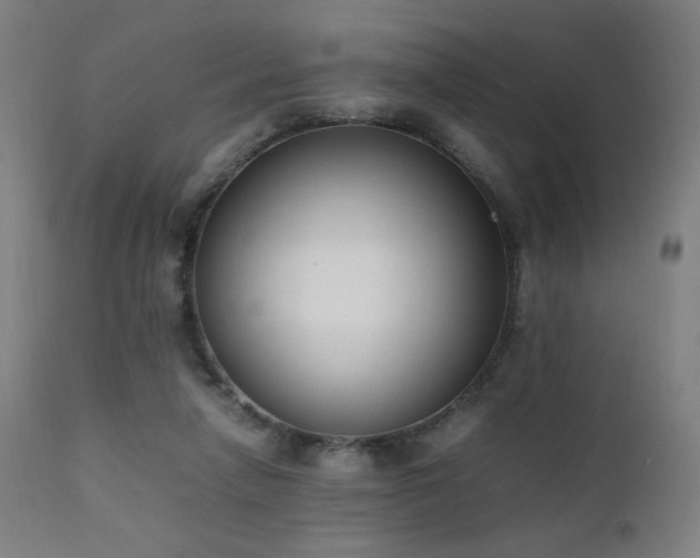 X0000111650258200907171552