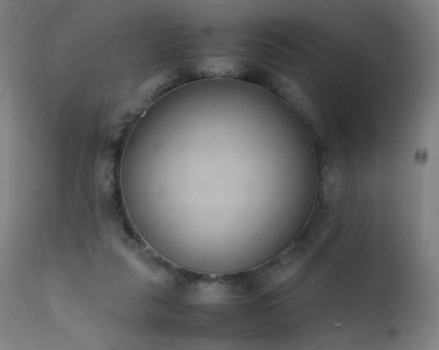 X0000111650259200907171552