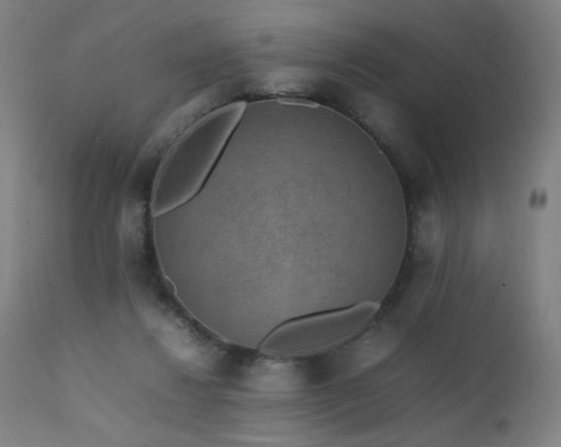 X0000111650260200907171552