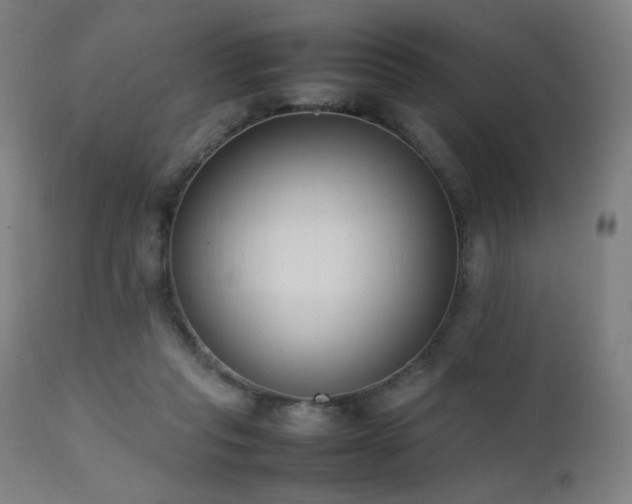 X0000111650261200907171552