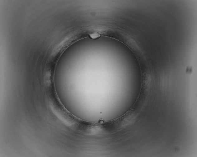 X0000111650262200907171552