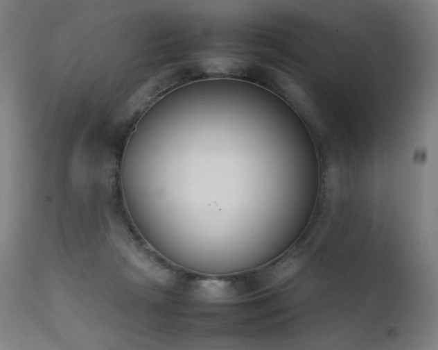 X0000111650265200907171552