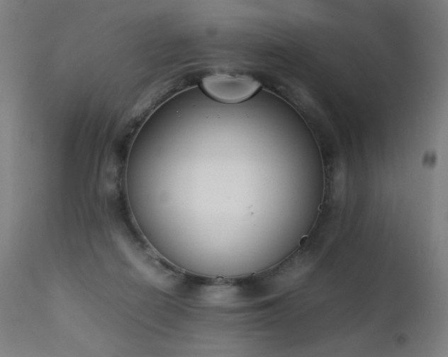X0000111650266200907171552