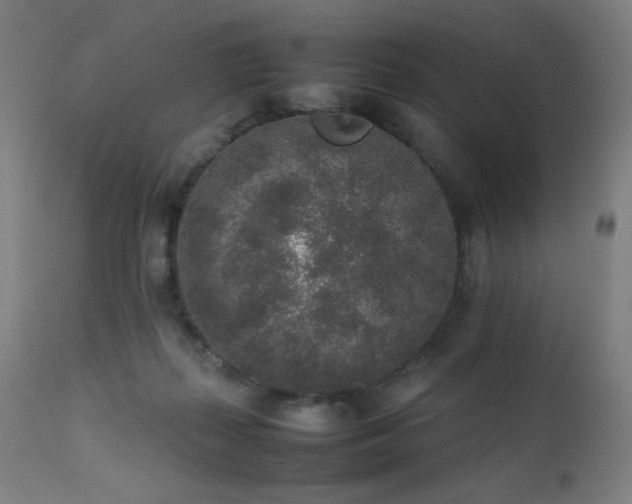 X0000111650267200907171552