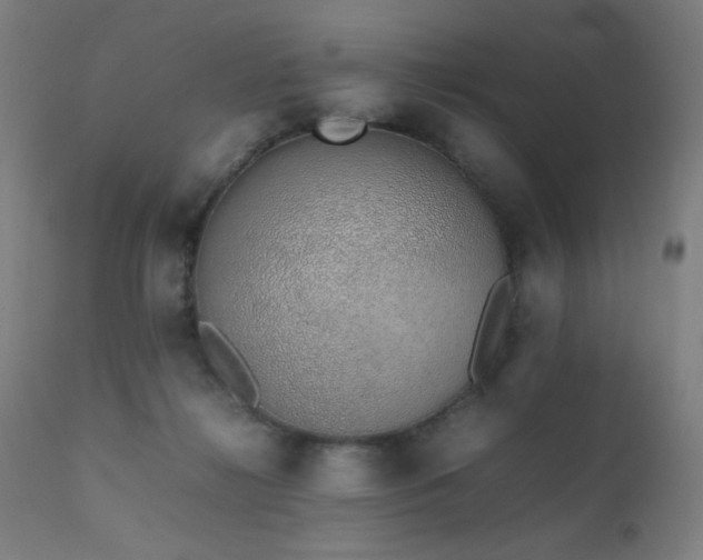 X0000111650268200907171552