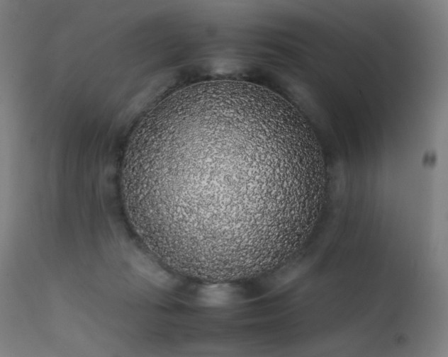 X0000111650269200907171552