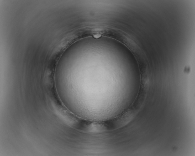 X0000111650270200907171552