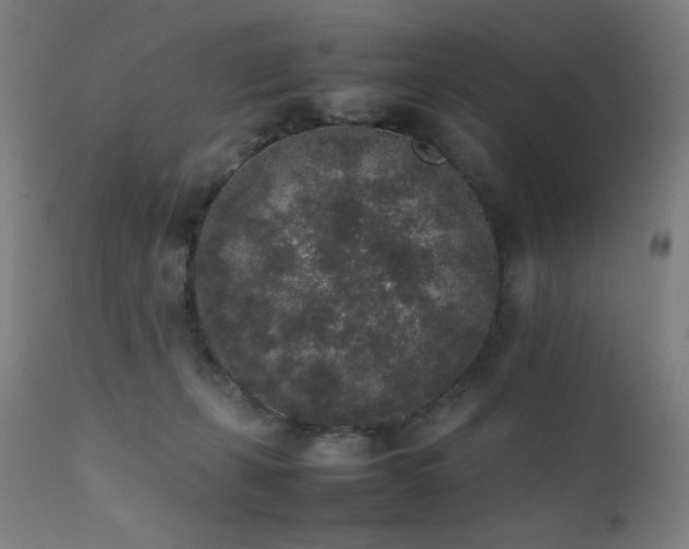 X0000111650271200907171552