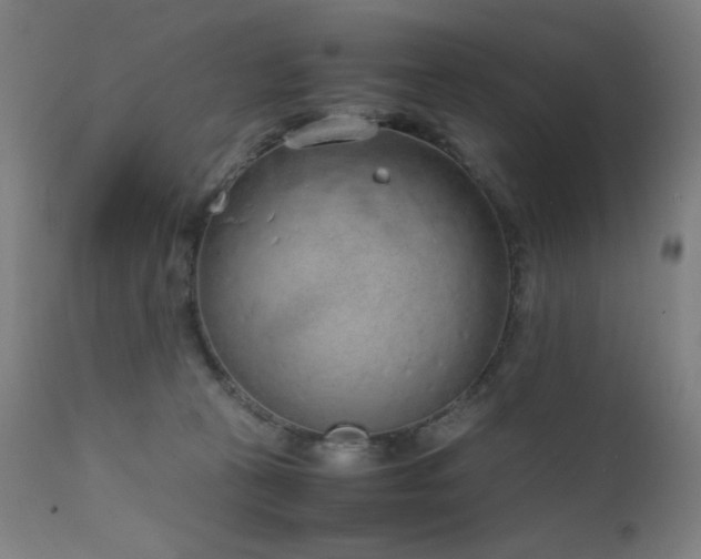 X0000111650273200907171552