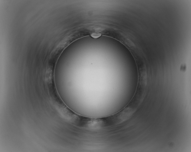 X0000111650274200907171552