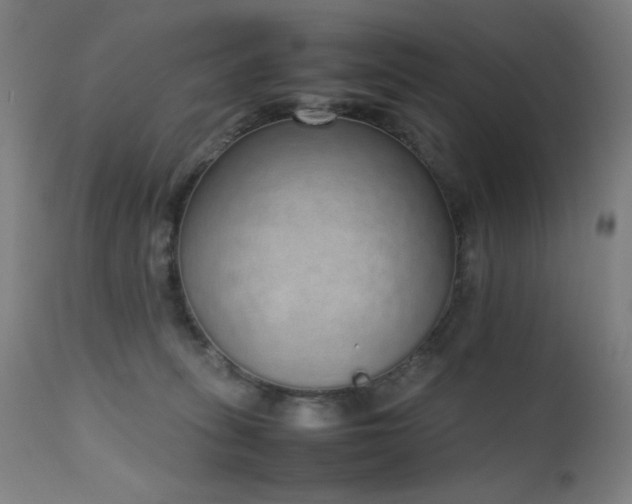 X0000111650275200907171552