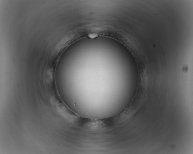 X0000111650278200907171552