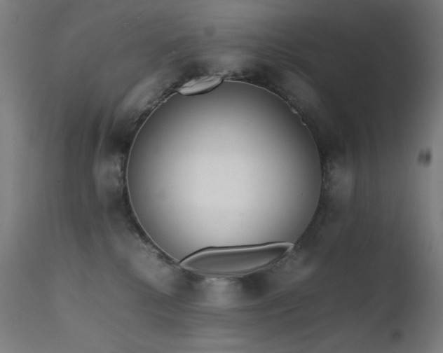 X0000111650280200907171552