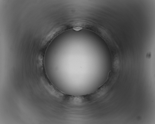 X0000111650282200907171552