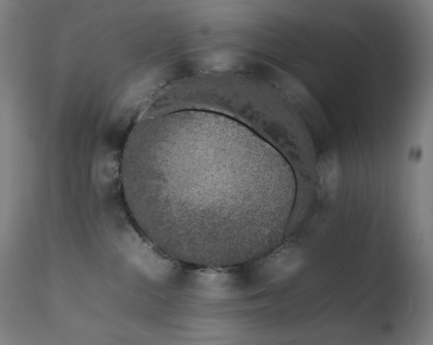 X0000111650284200907171552