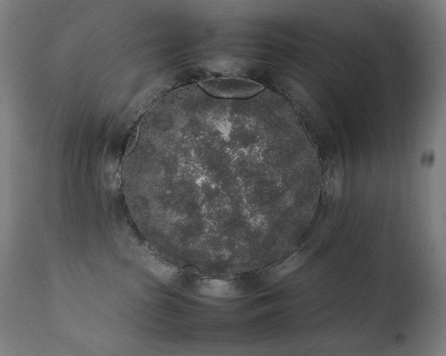 X0000111650285200907171552