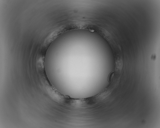 X0000111650286200907171552