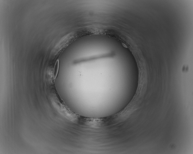X0000111650288200907171553