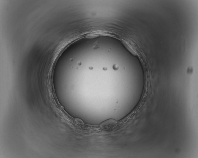 X0000111650289200907171552