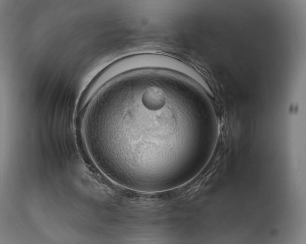 X0000111650292200907171552