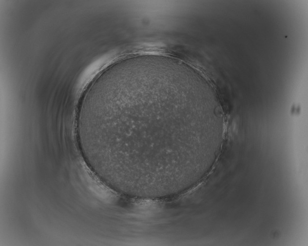 X0000111650293200907171552