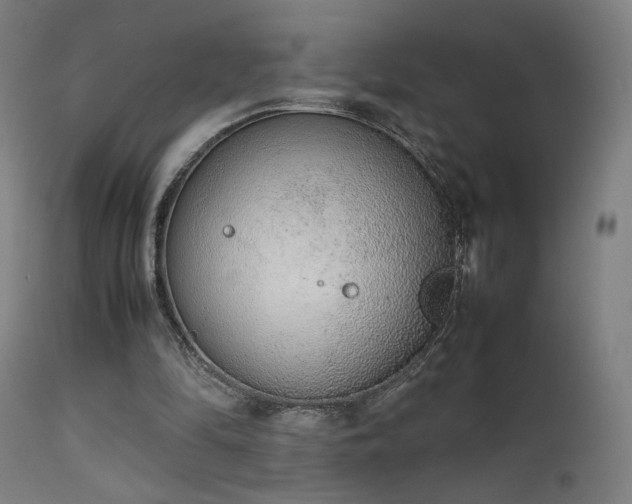 X0000111650294200907171552