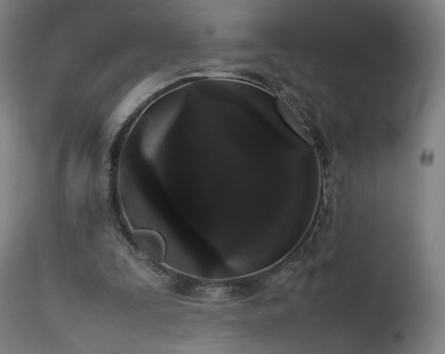 X0000111650295200907171552