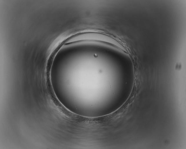 X0000111650296200907171552