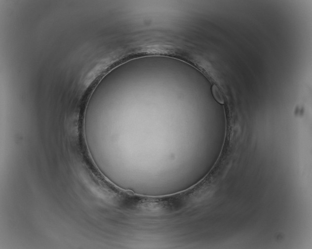 X0000111650299200907171552