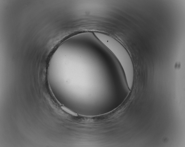 X0000111650301200907171552