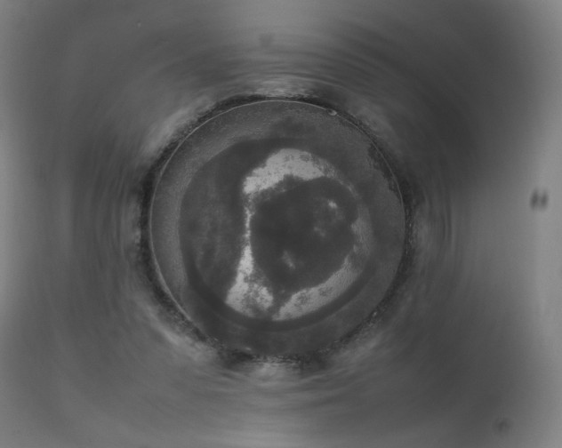 X0000111650303200907171552