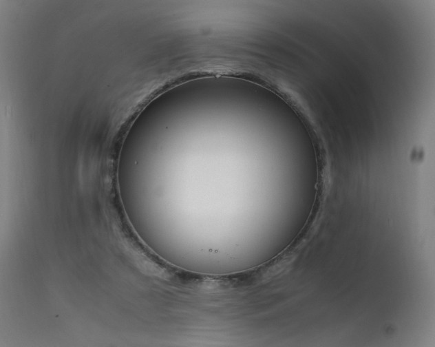 X0000111650305200907171552