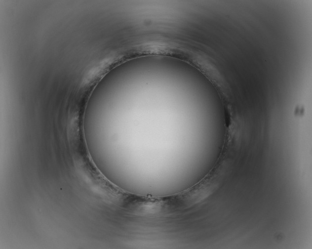 X0000111650306200907171552