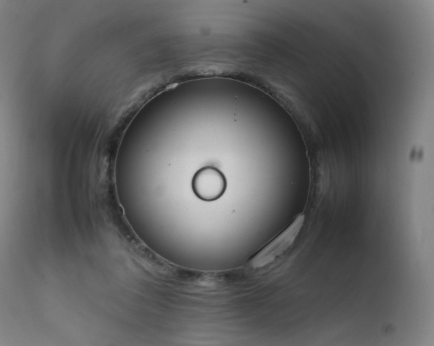 X0000111650308200907171552
