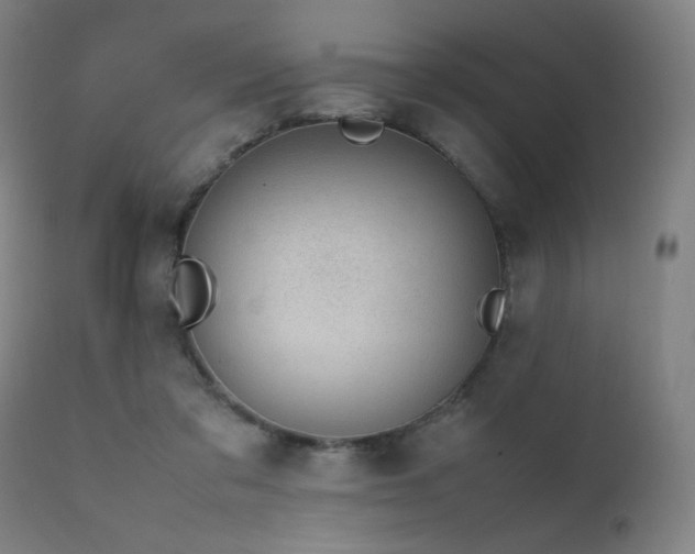 X0000111650309200907171552