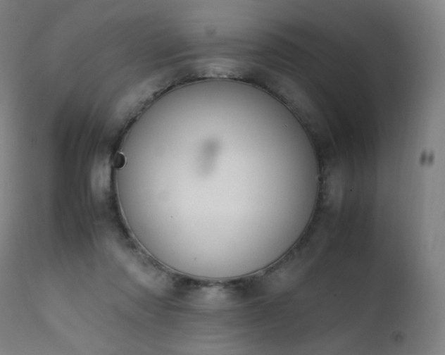 X0000111650310200907171552