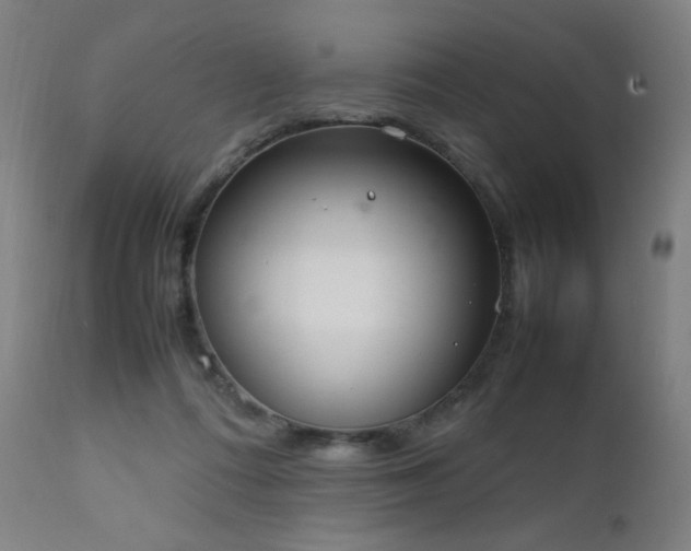 X0000111650312200907171552