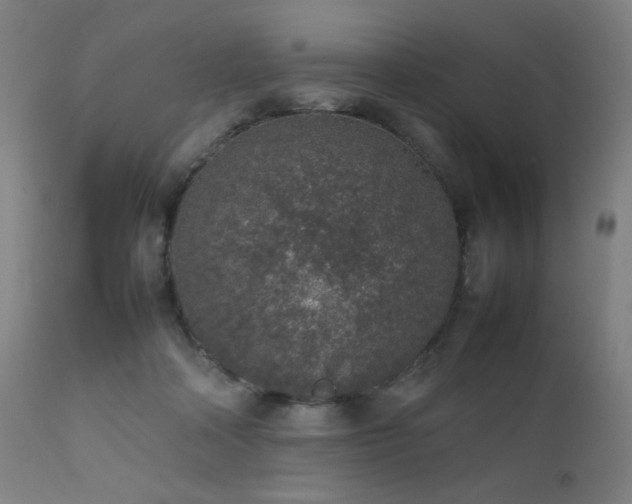 X0000111650314200907171552