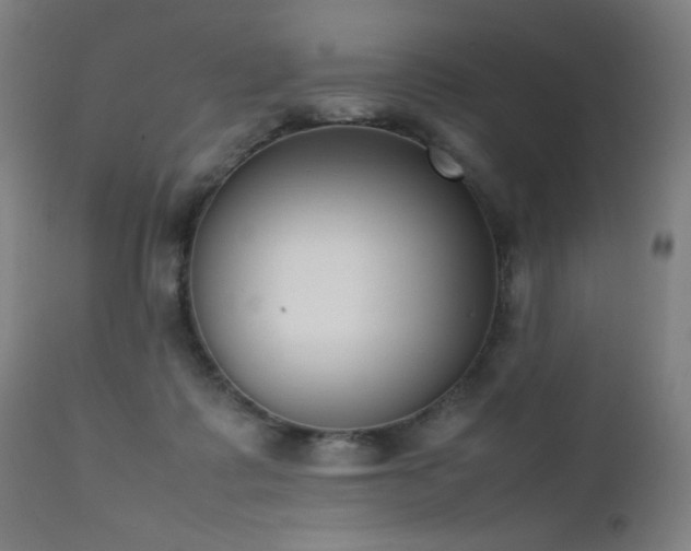 X0000111650315200907171551