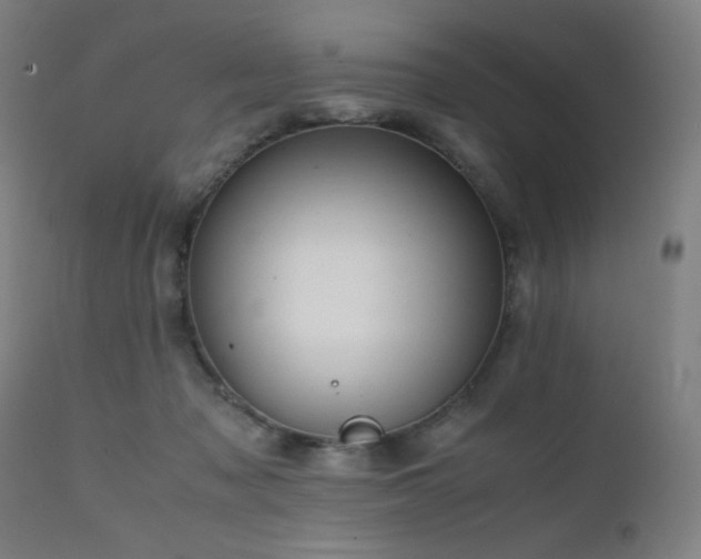 X0000111650317200907171551