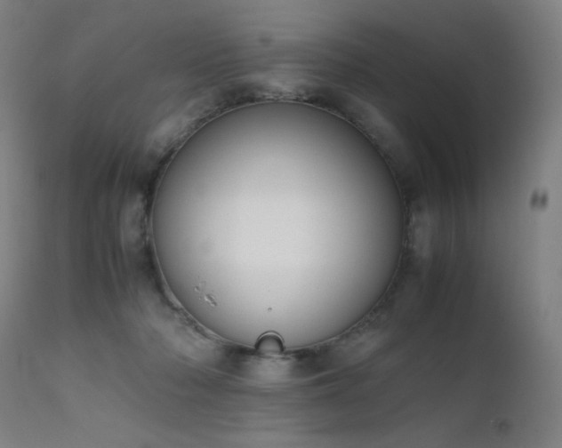 X0000111650318200907171551