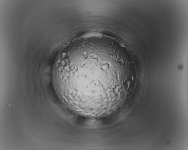 X0000111650319200907171551