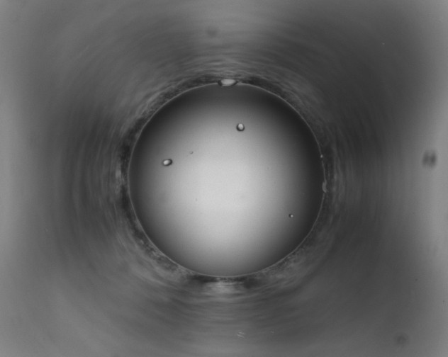 X0000111650320200907171551