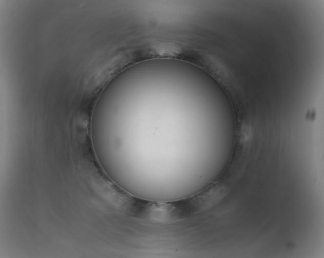 X0000111650321200907171551