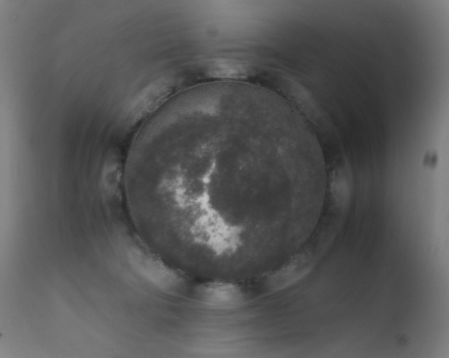 X0000111650322200907171551