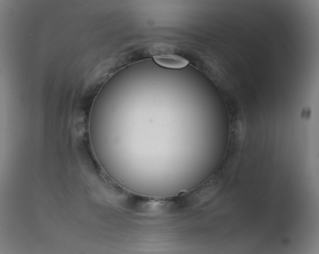 X0000111650323200907171551