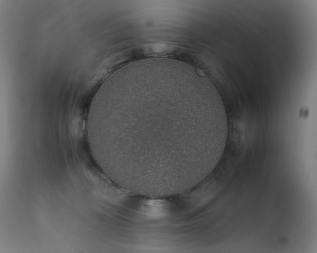 X0000111650324200907171551